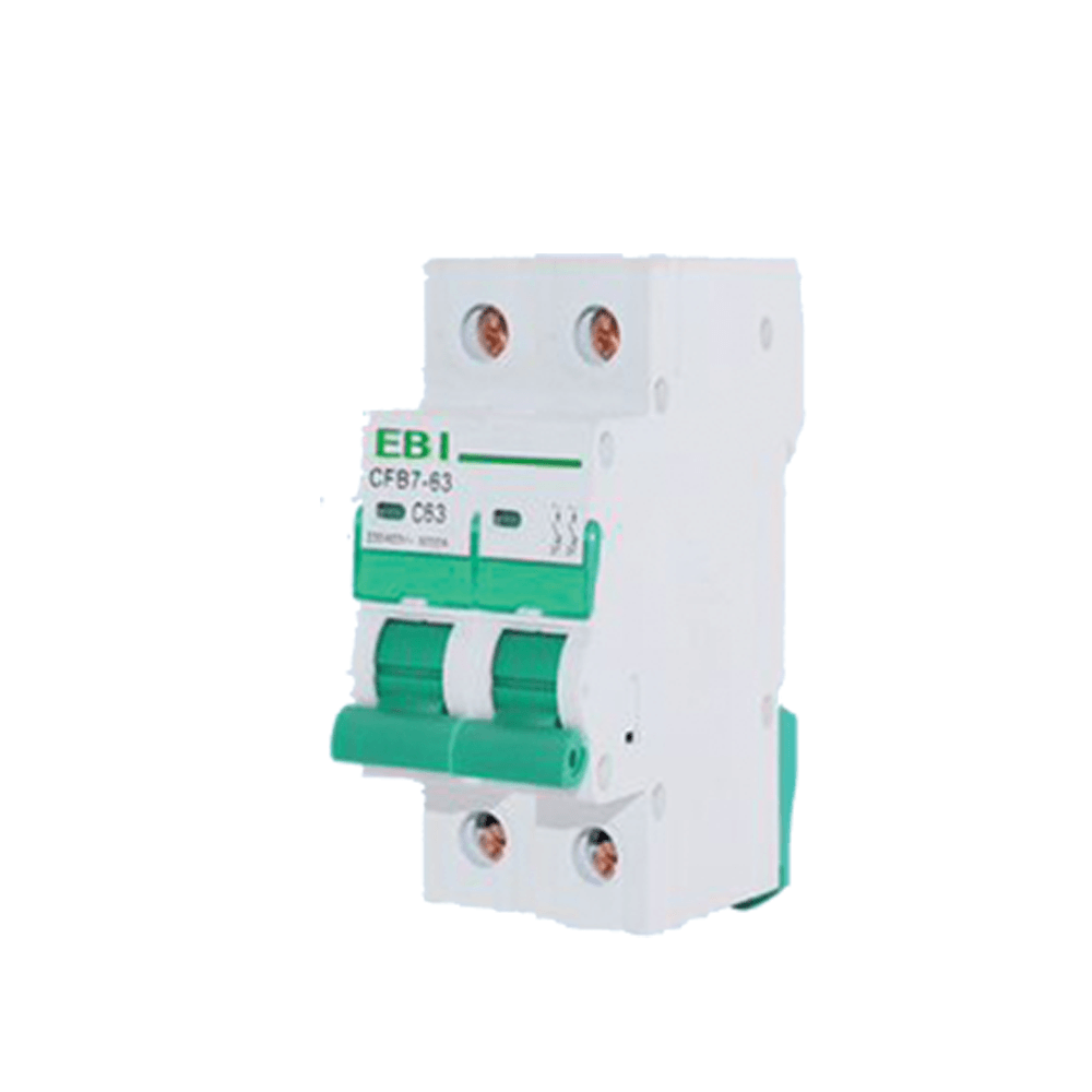 63 AMP EBI Circuit Breaker MCB | Double Pole