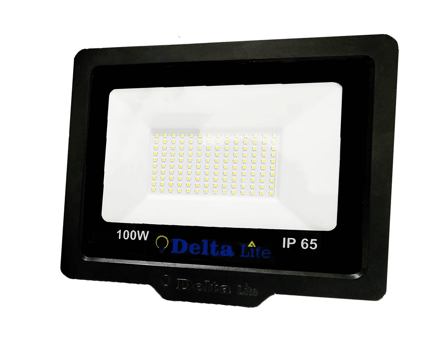 Deltalite LED Flood Light 100 Watt IP65 Water Proof