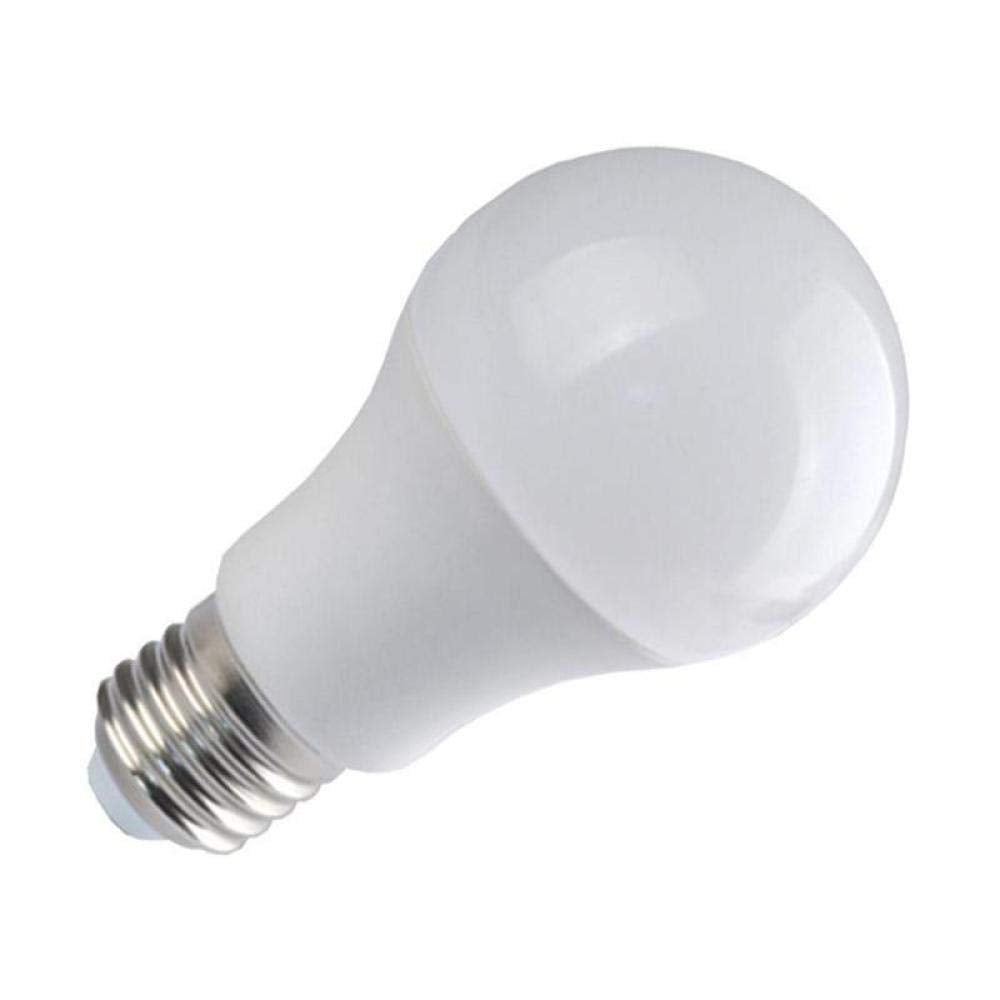 12 Watt Deltalite LED Bulb – A65