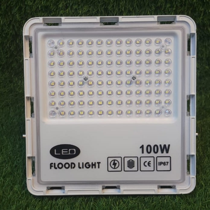 DLite LED Flood Light 100 Watt IP66 Water Proof for Outdoor