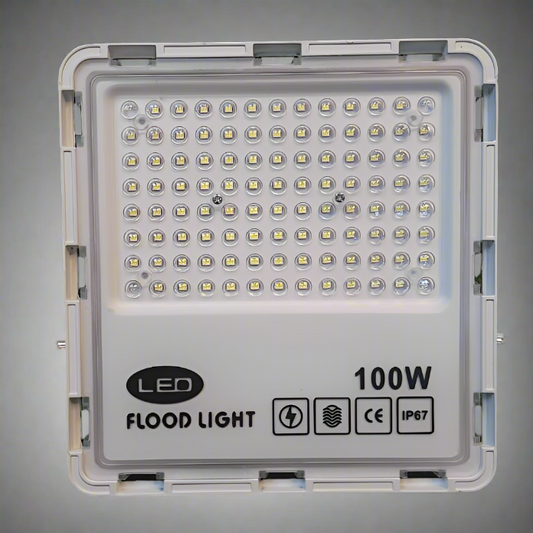 DLite LED Flood Light 100 Watt IP66 Water Proof for Outdoor