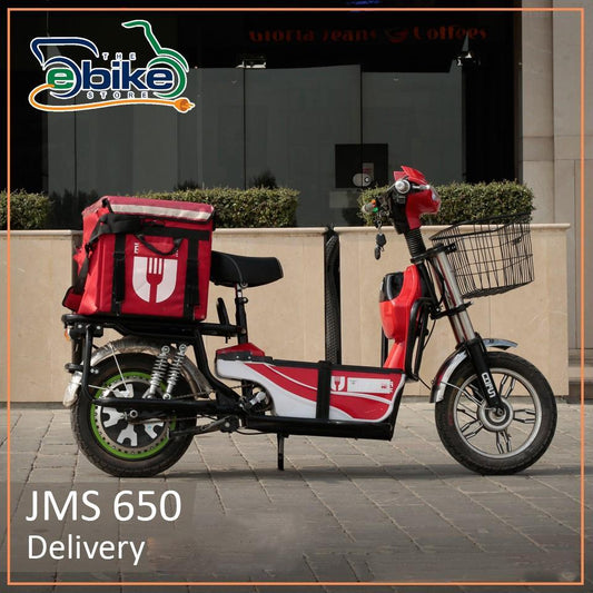 Electric Delivery Bike JMS 650 simple eMela Pakistan 